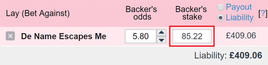 de name escapes me win lay bet2