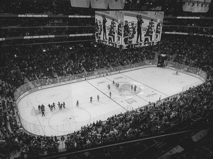 Arb Betting Canada 2026: Guaranteed Profit Strategy Guide pexels photo 26840203